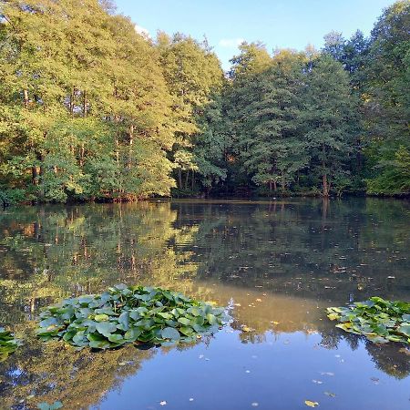 Ferienwohnung Am Waldsee Mit Schwimmbad Gernsbach Luaran gambar