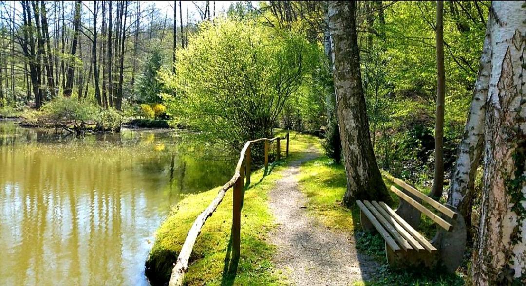 Ferienwohnung Am Waldsee Mit Schwimmbad Gernsbach Luaran gambar