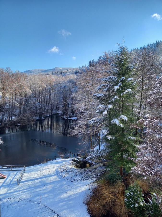 Ferienwohnung Am Waldsee Mit Schwimmbad Gernsbach Luaran gambar